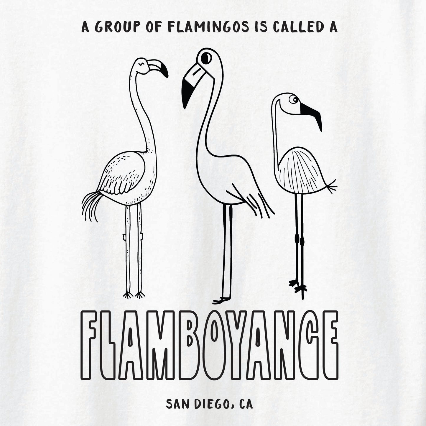 ST-FLAMINGO-01