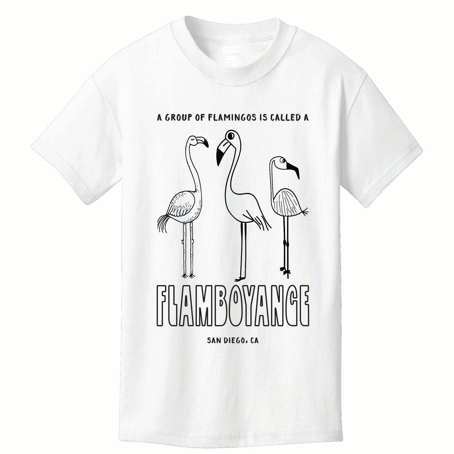 ST-FLAMINGO-01