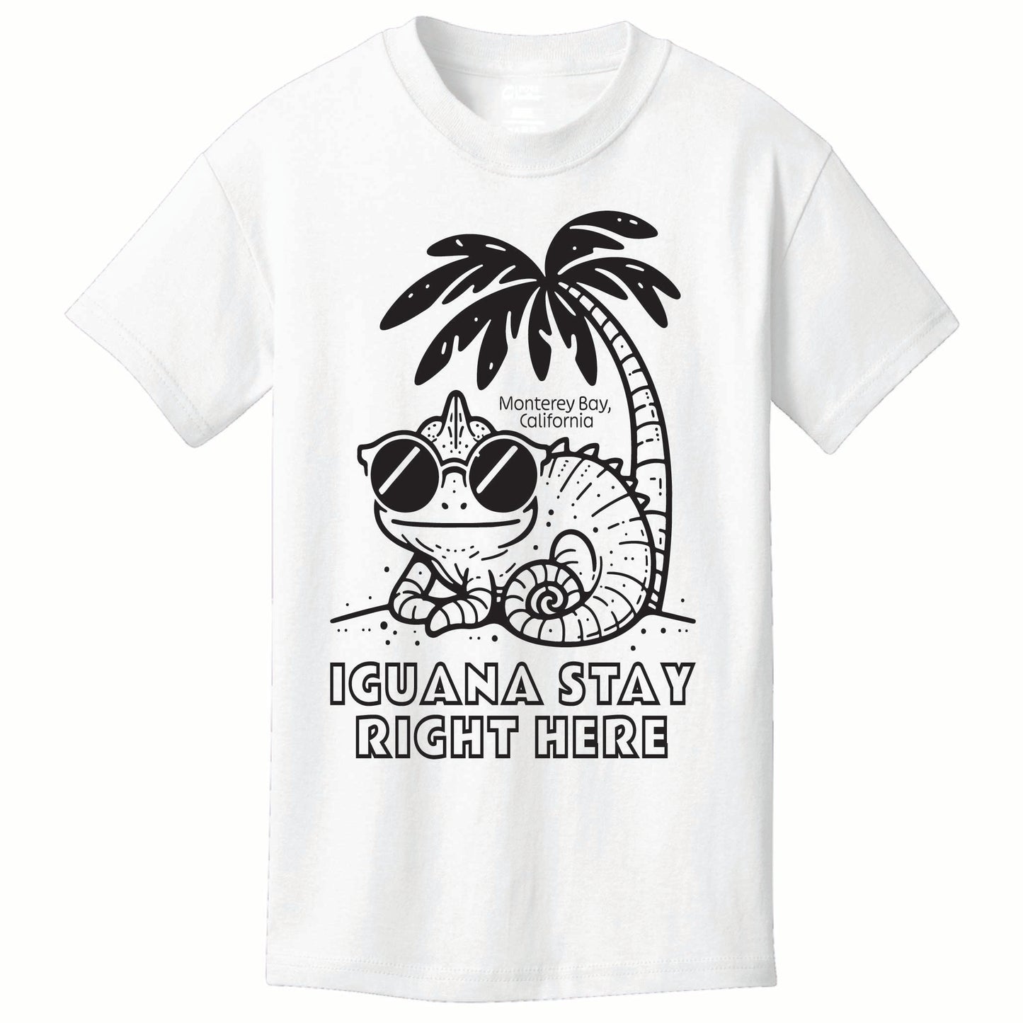 ST-IGUANA-01
