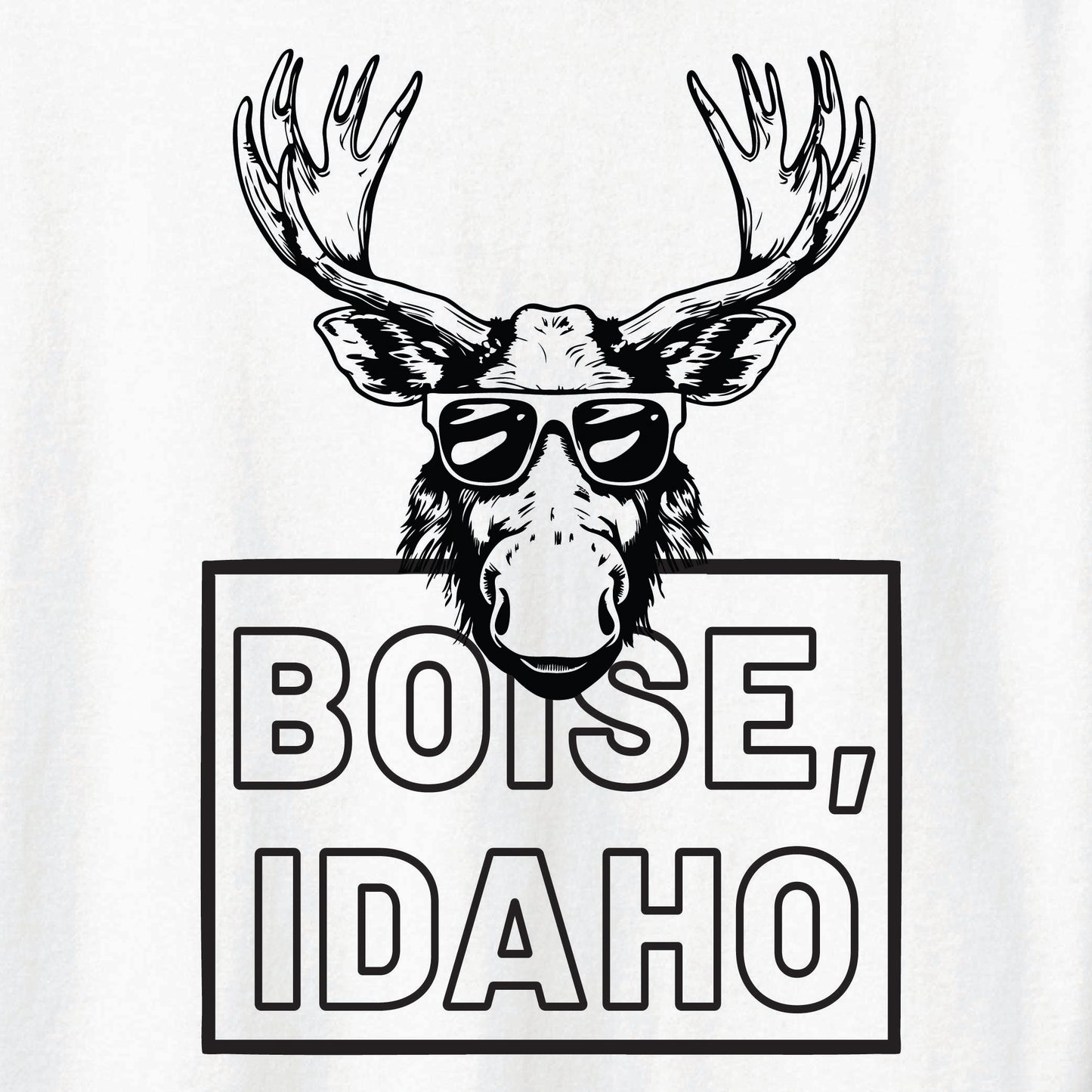 ST-MOOSE-01