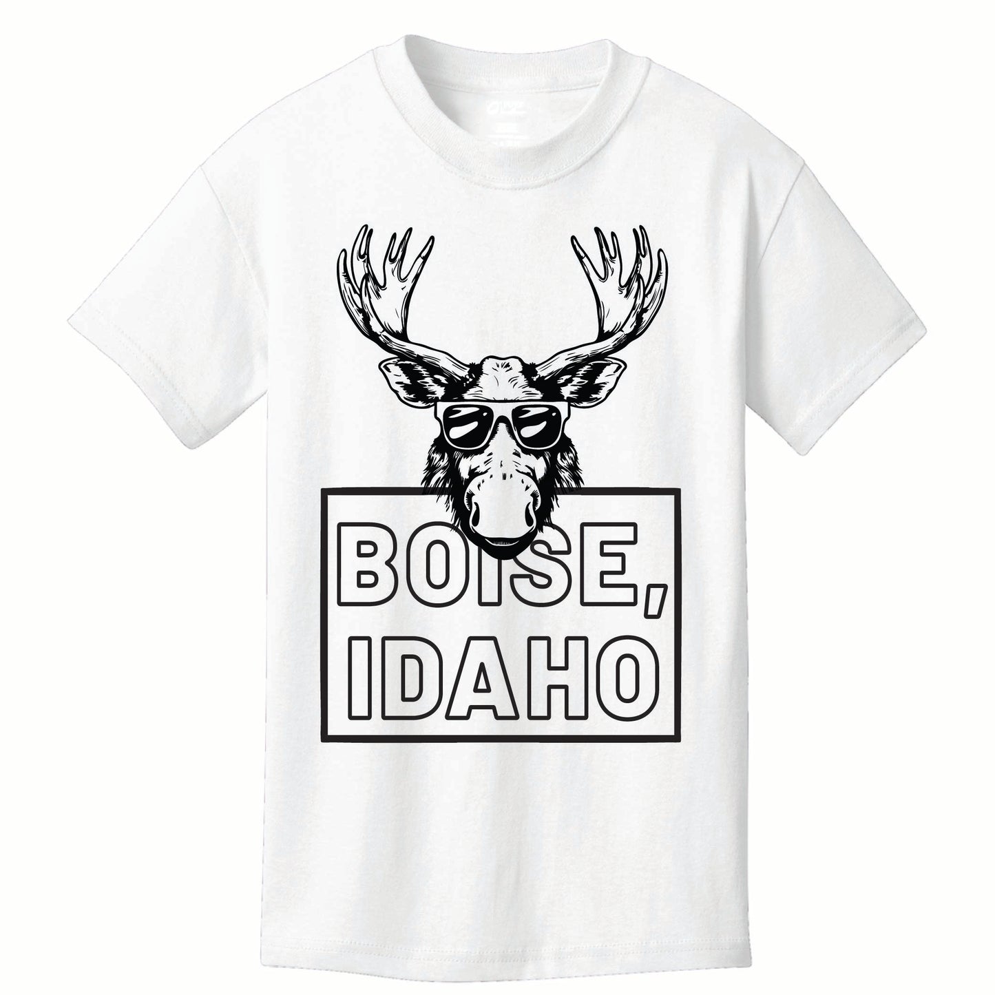 ST-MOOSE-01