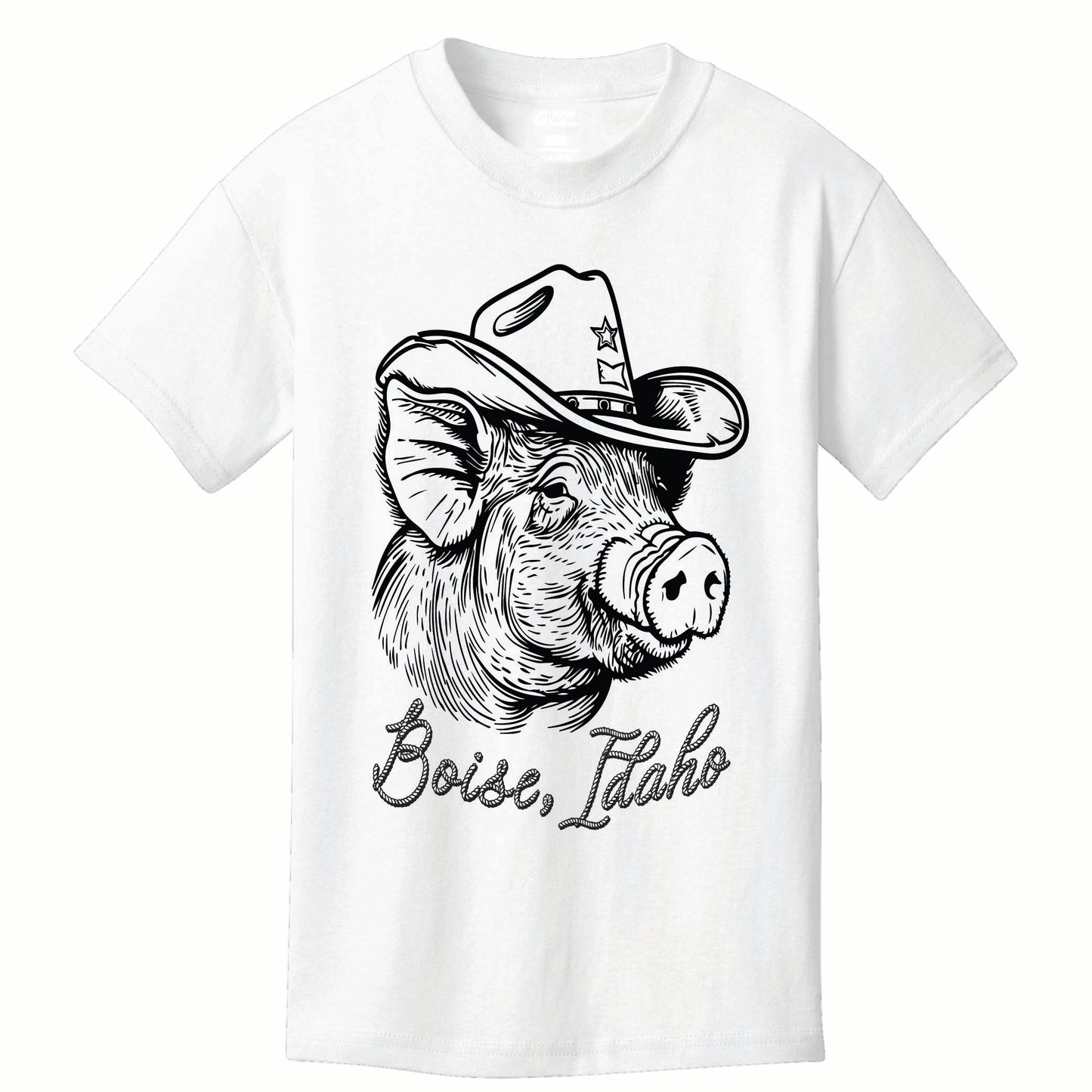 ST-PIG-02