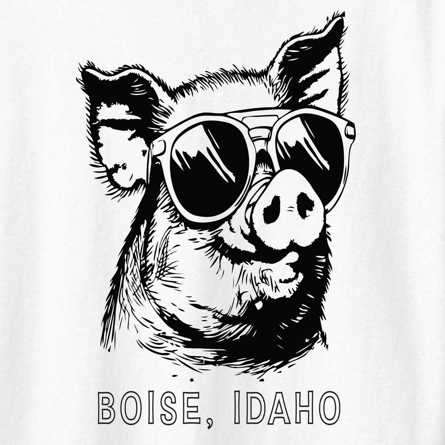 ST-PIG-03
