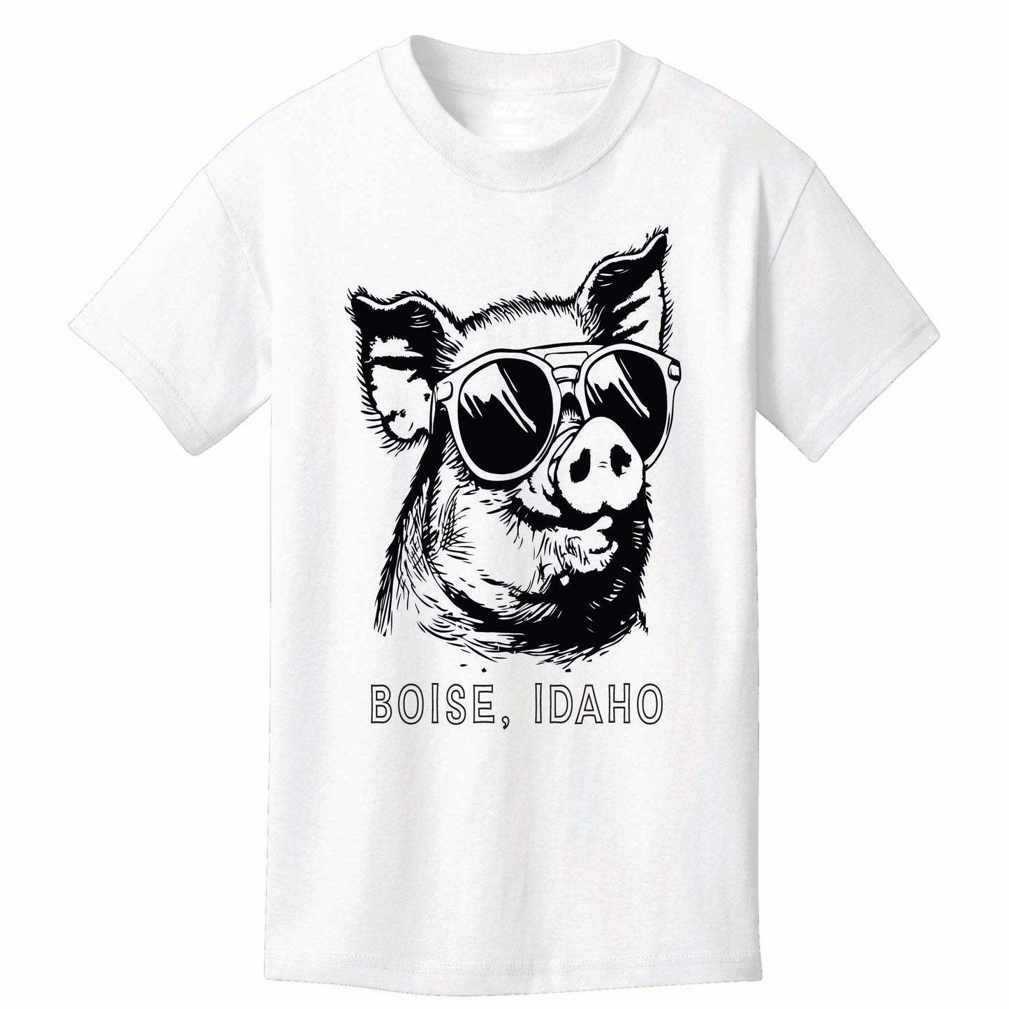 ST-PIG-03