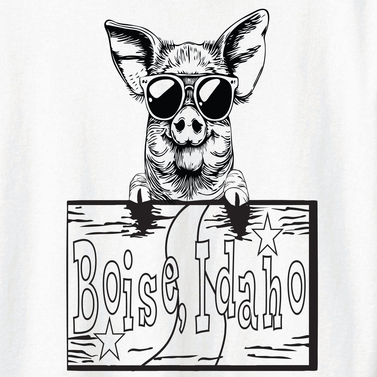ST-PIG-04
