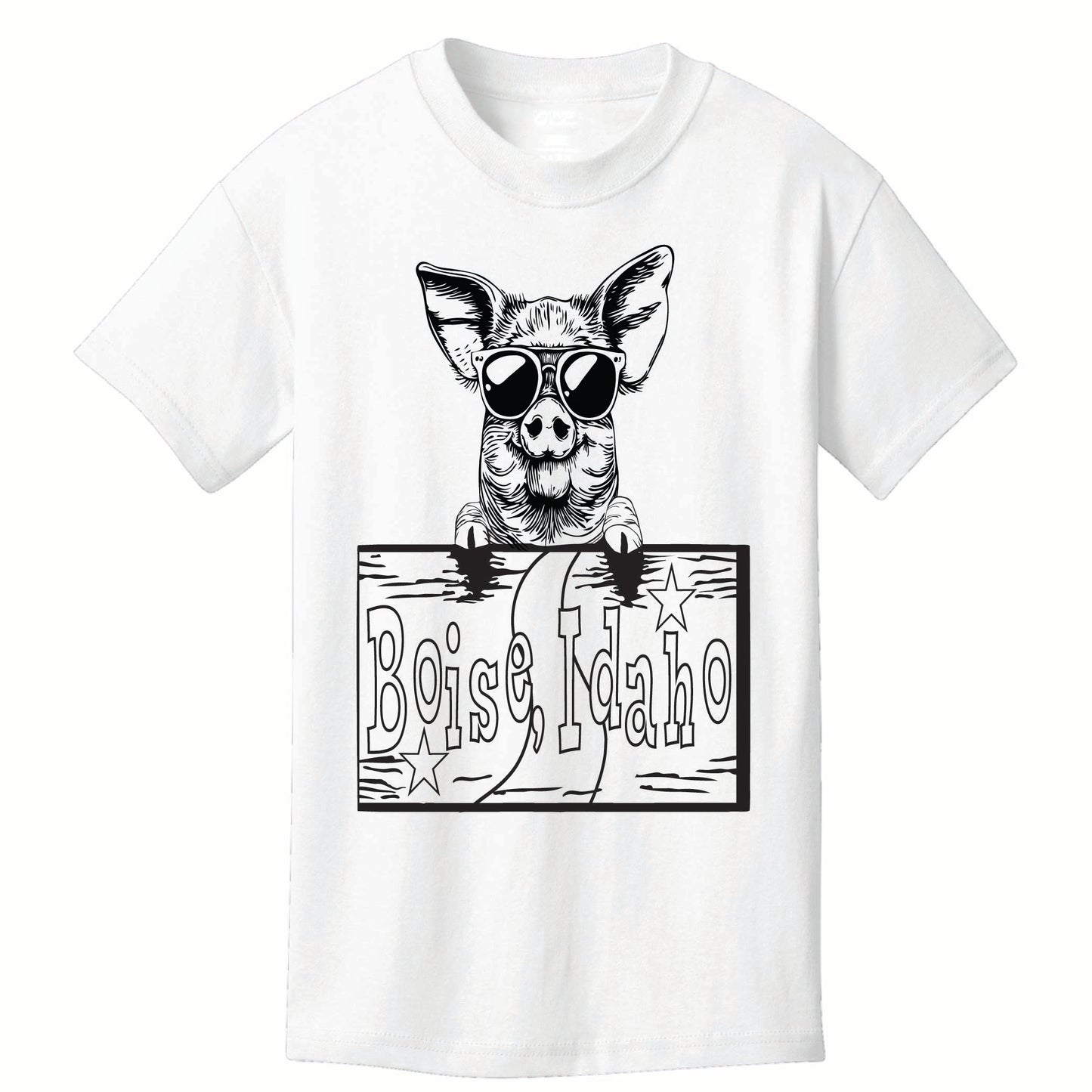 ST-PIG-04