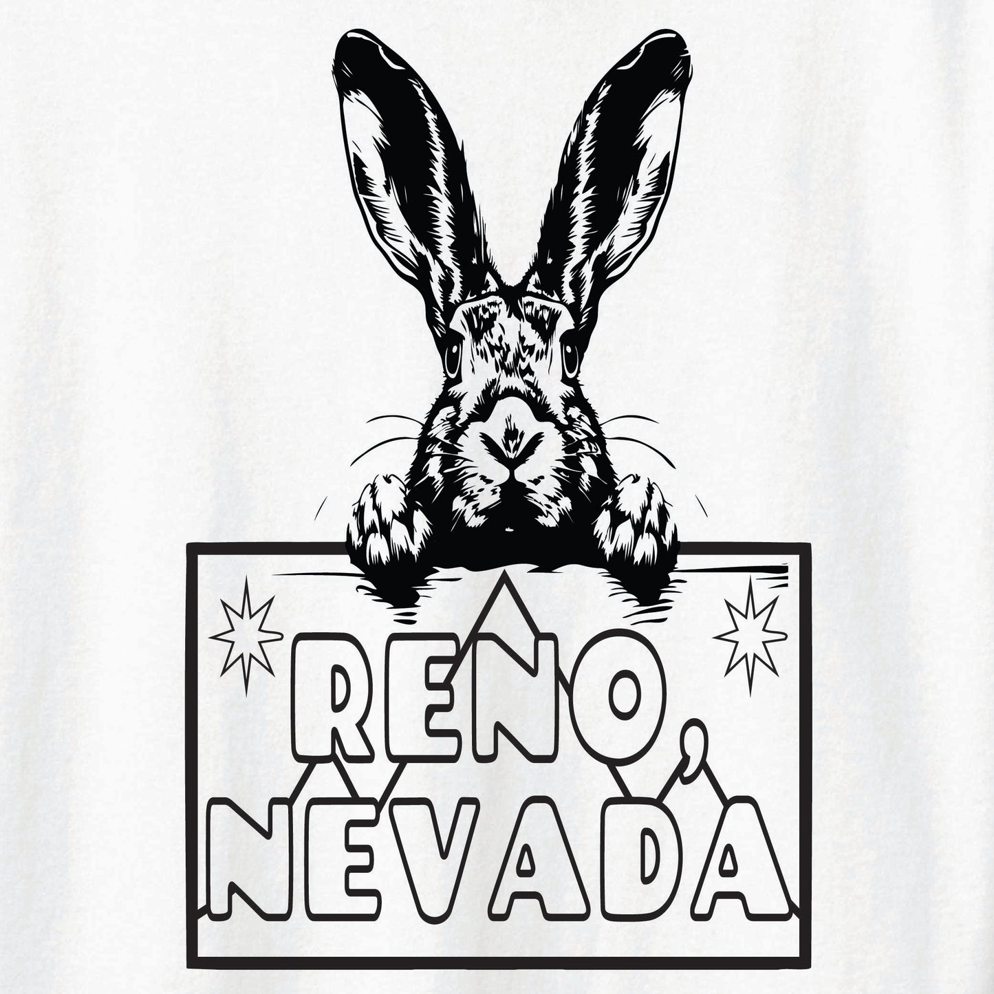 ST-RABBIT-04