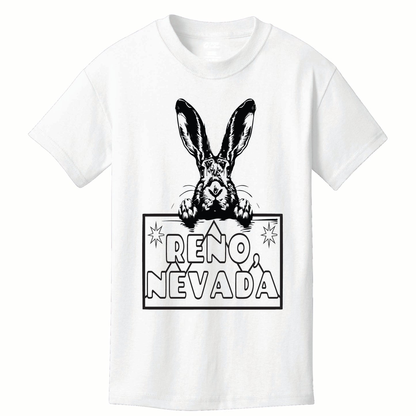 ST-RABBIT-04