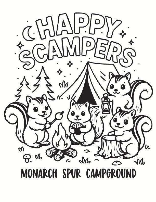ST-CAMPING-17