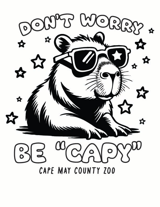 ST-CAPYBARA-01