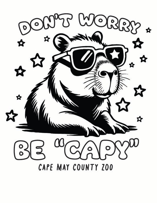ST-CAPYBARA-01