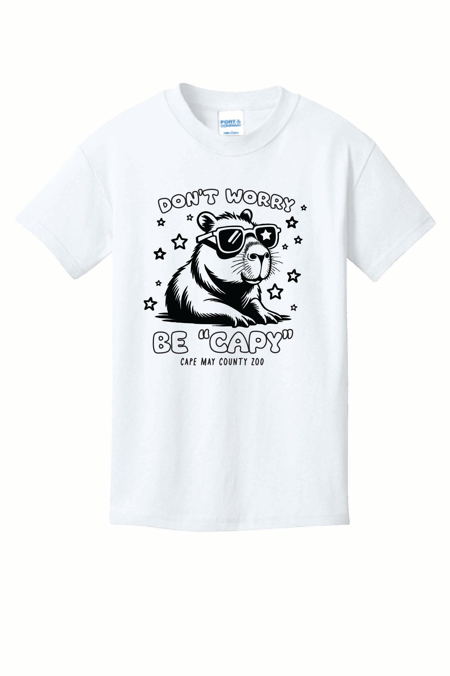 ST-CAPYBARA-01
