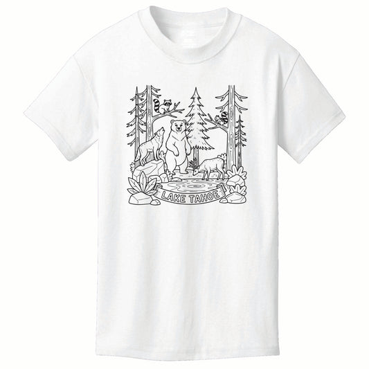 ST-FOREST-02
