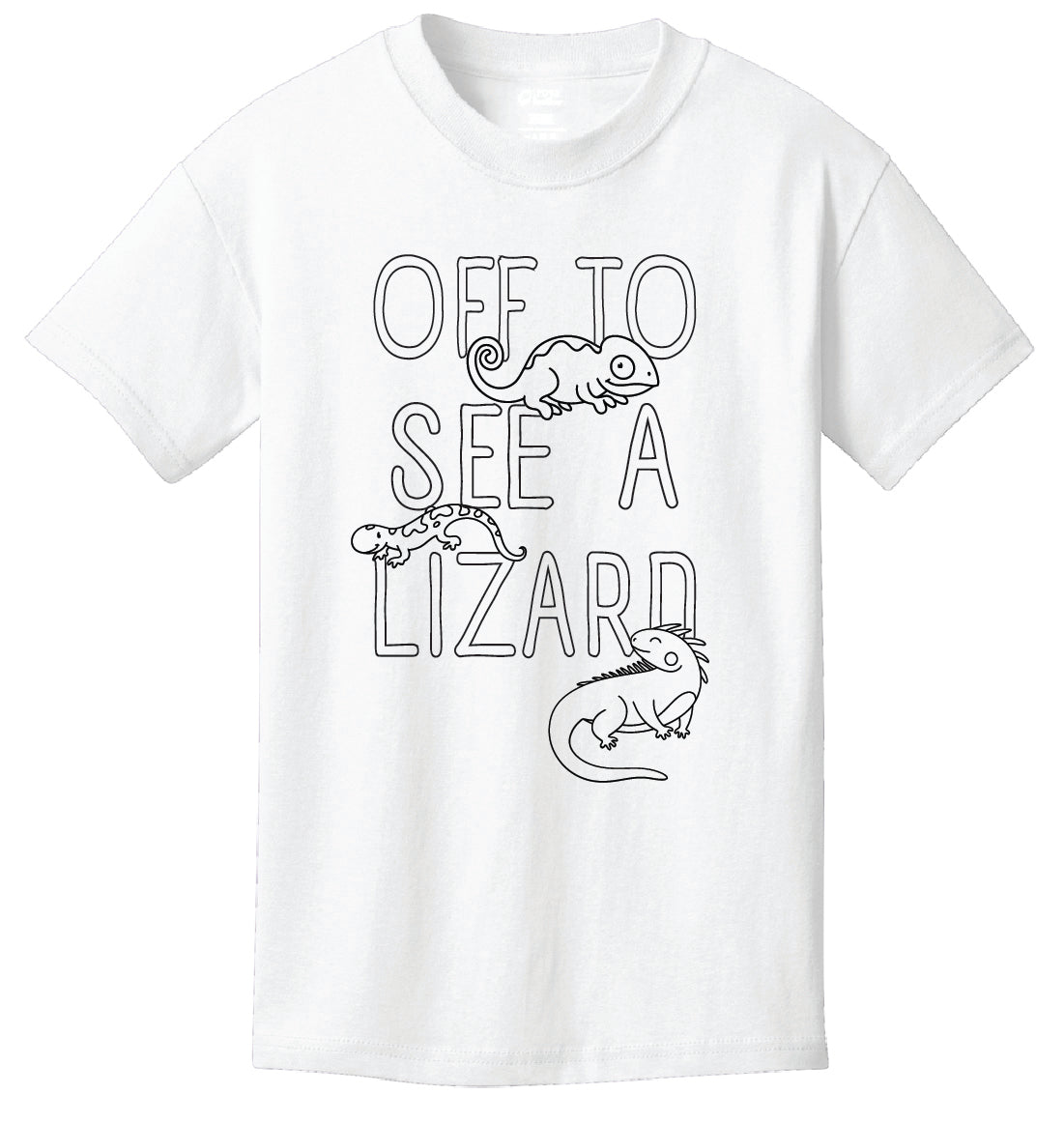 ST-LIZARD-02