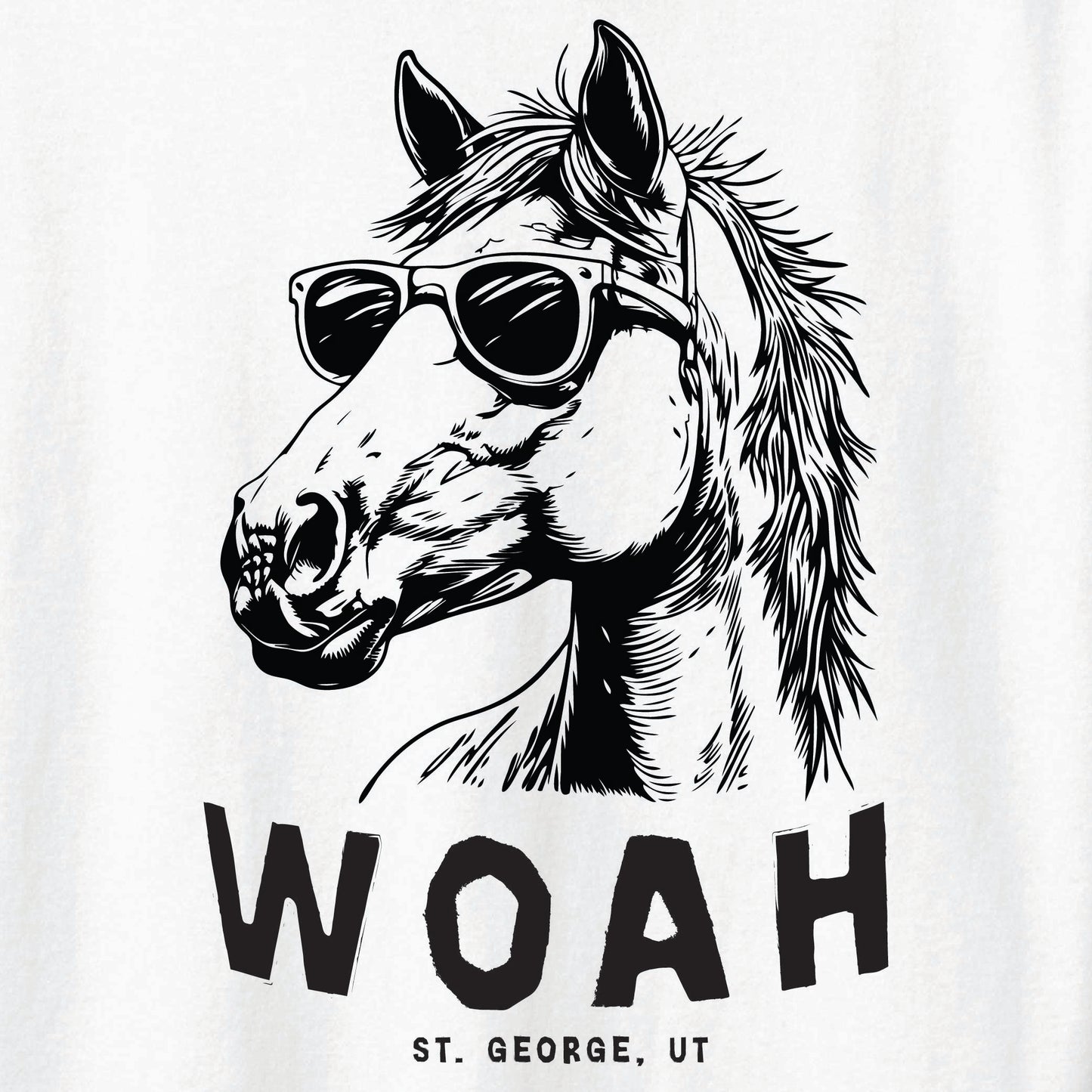 ST-HORSE-02
