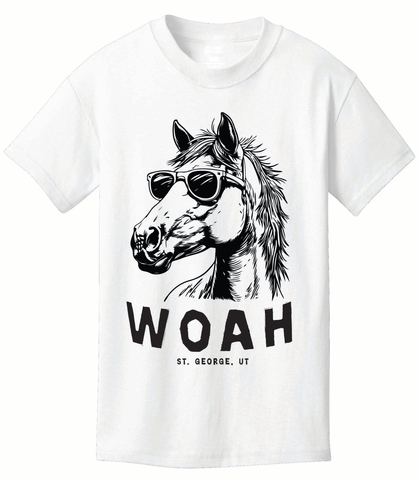 ST-HORSE-02